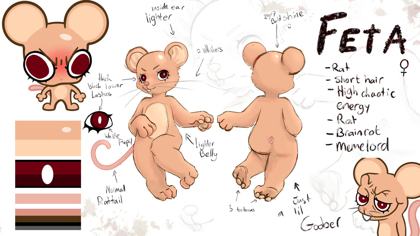 Reference sheet Feta